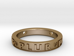 Plur Ring - Size 8 in Polished Gold Steel