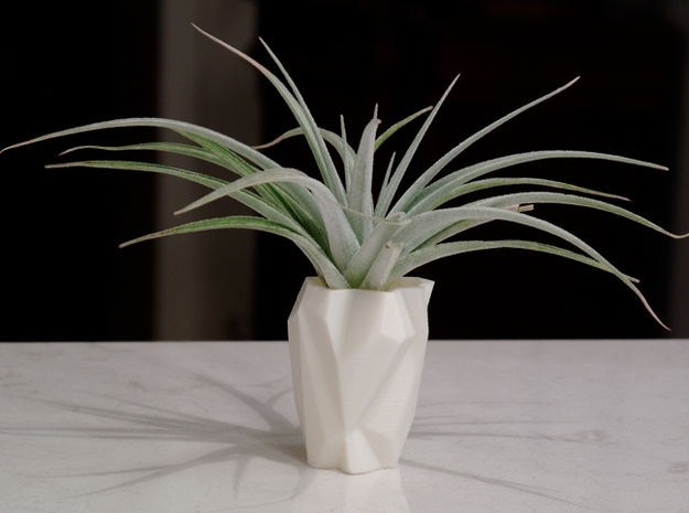 Ruba Rombic Vase for Air Plants in White Natural Versatile Plastic