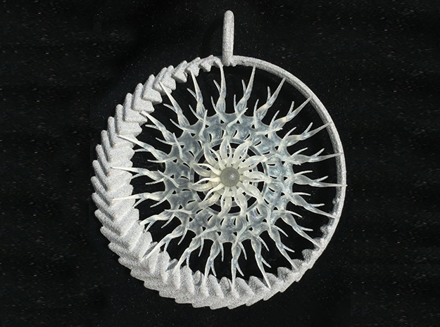 Emergence 2 pendant in Clear Ultra Fine Detail Plastic