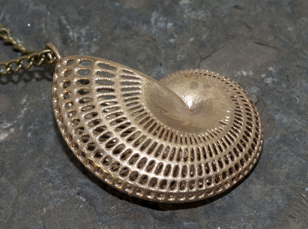 Nautilus Wireframe With Necklace Hoop in Natural Bronze