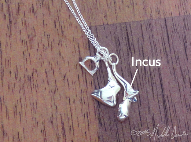 Ossicle Pendant - Incus (right sided) in Polished Silver