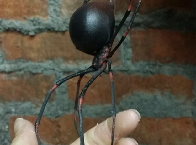 Dangling Widow in Black Natural Versatile Plastic