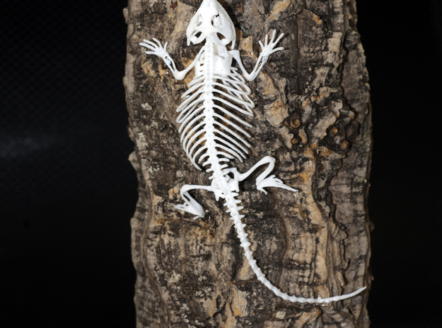 Bearded Dragon Skeleton - 4 Inches in Tan Fine Detail Plastic