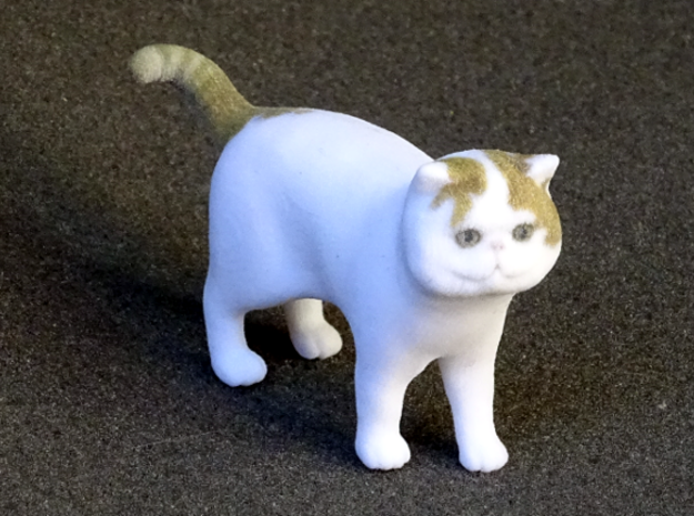 Standing Exotic Shorthair Cat in Full Color Sandstone