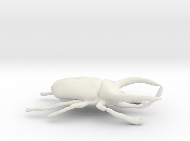 Atlas Beetle figurine/brooch in White Natural Versatile Plastic