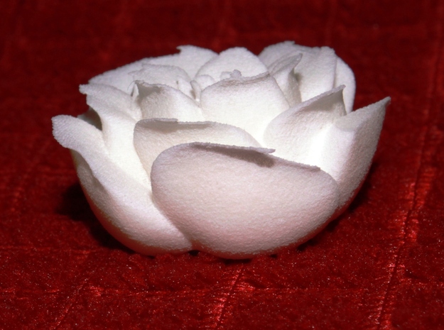 Rose Motif Small in White Processed Versatile Plastic