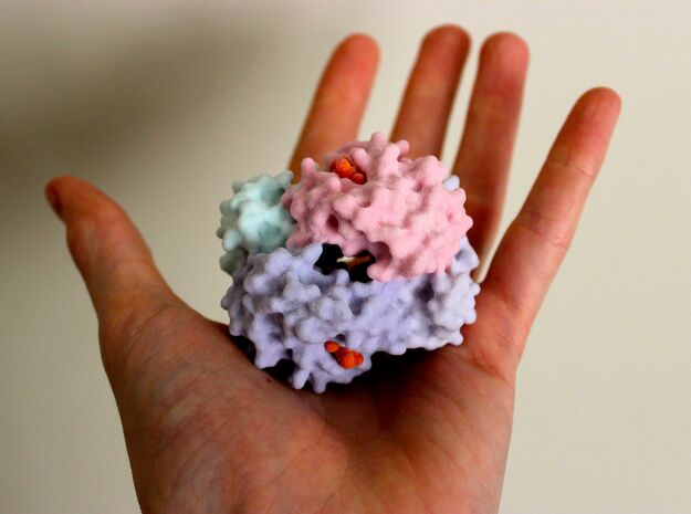 Haemoglobin molecule in Full Color Sandstone