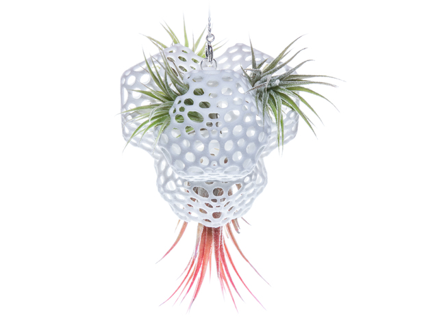 Radiolaria Tetrahedra Planter in White Natural Versatile Plastic