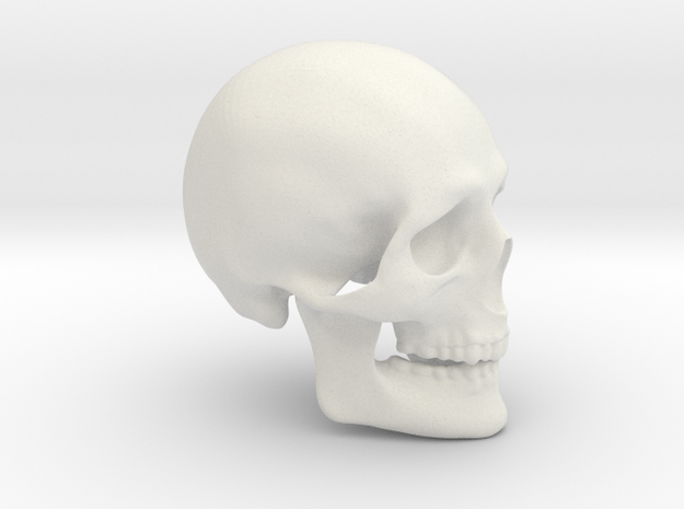 Skull Real in White Natural Versatile Plastic