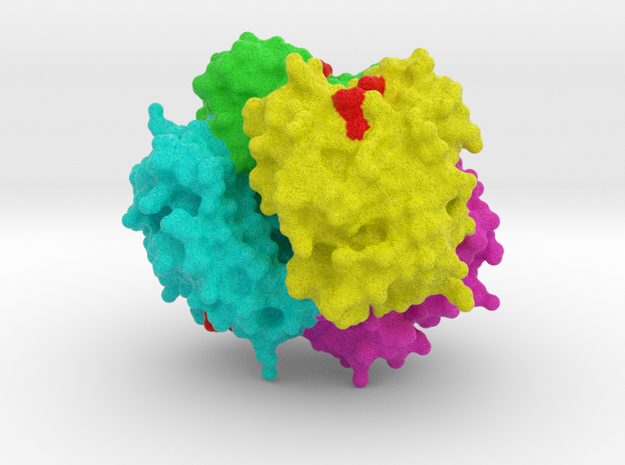 Human Haemoglobin (2HHB) in Full Color Sandstone