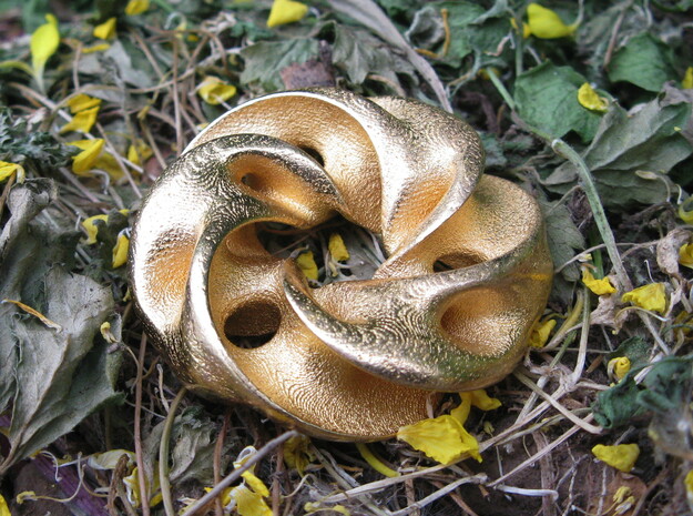 Seedpod of Tacañita  - mobius pendant /sculpture in Polished Gold Steel