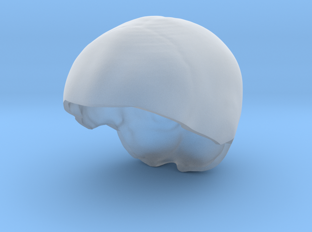 Subject 6f | SkullCap in Tan Fine Detail Plastic