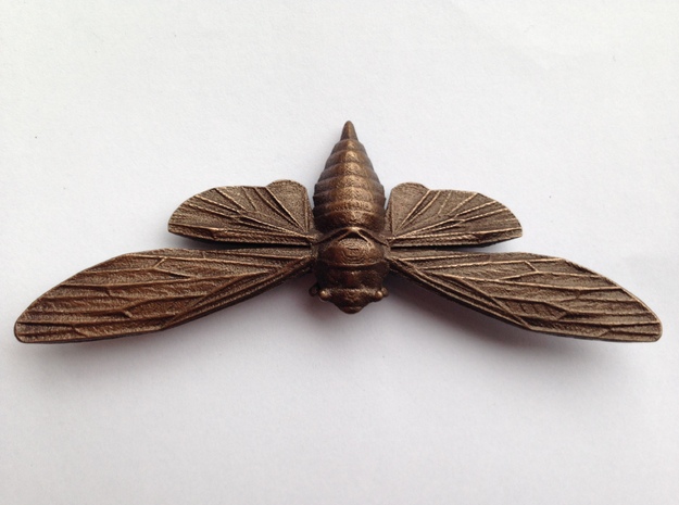 Bronze-polished Steel Cicada in Polished Bronze Steel