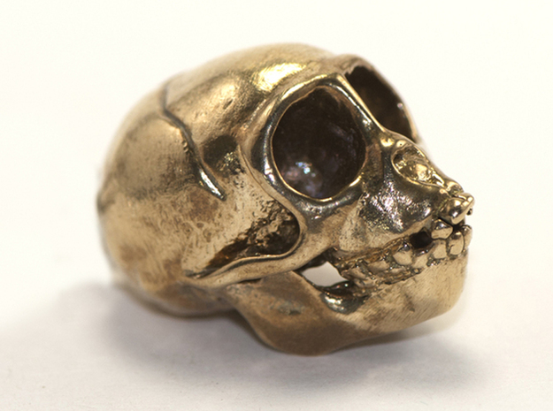 Spider Monkey Skull 50mm in White Natural Versatile Plastic
