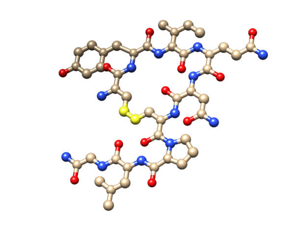 Oxytocin (2D model) in White Natural Versatile Plastic