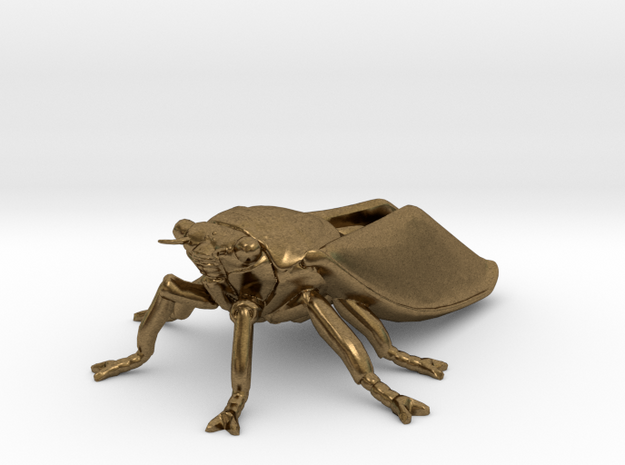 Cicada in Natural Bronze