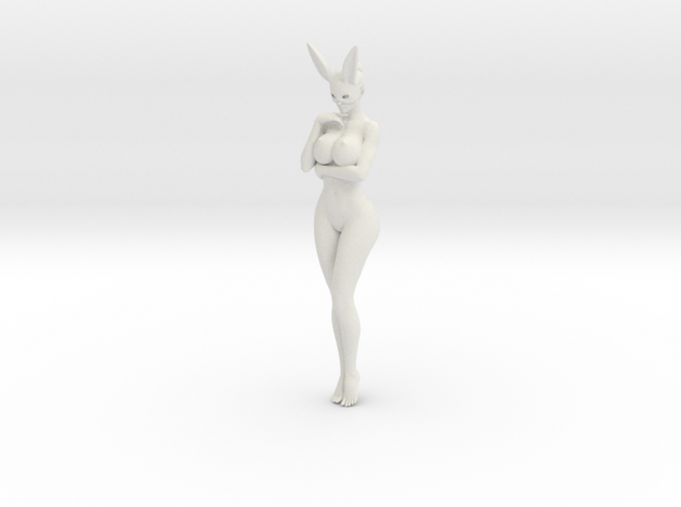 Bunny lady 005 1/10