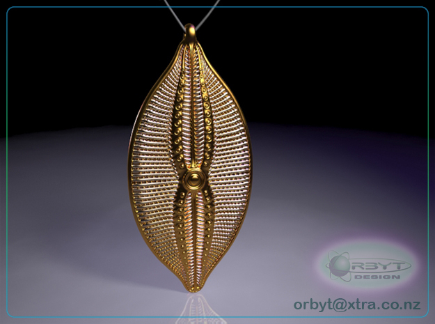 Navicula bullata Pendant ~ 46mm tall (1.8 inches) in Polished Brass