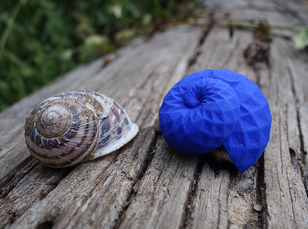 Snail Shell in Blue Processed Versatile Plastic