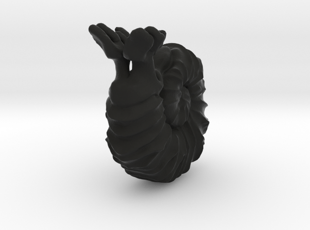 Ammonite in Black Natural Versatile Plastic