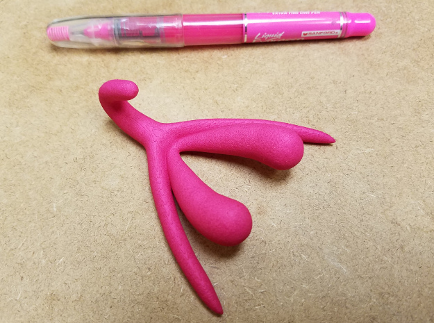 Life-scale Clitoris and Bulbs in Pink Processed Versatile Plastic