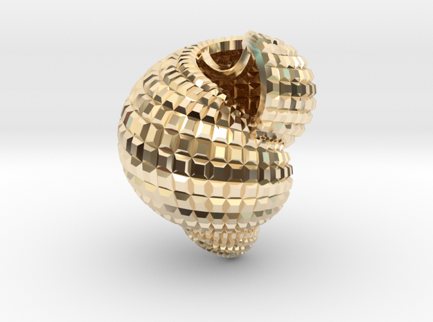 Shell n°1 in 14k Gold Plated Brass