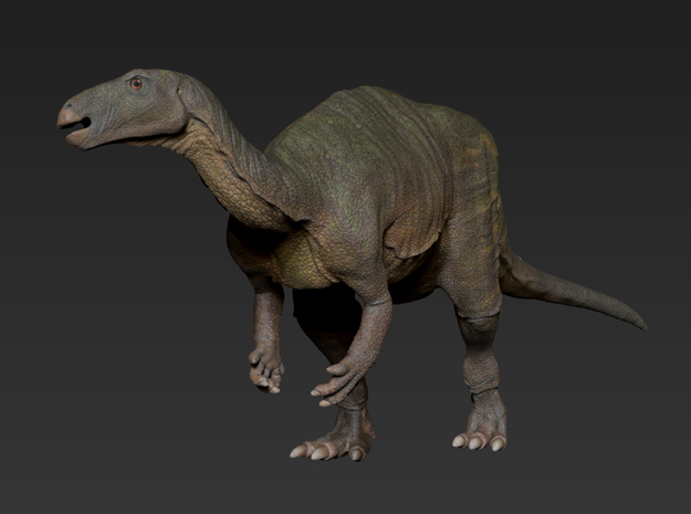 Camptosaurus (Medium / Large size)
