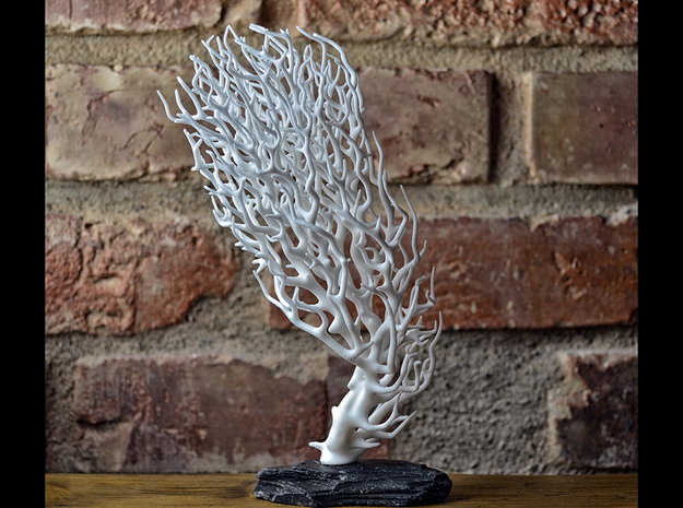 Coral I  (Minimum spanning tree) in White Natural Versatile Plastic