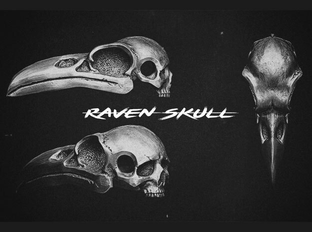 Raven Skull Pendant in Antique Silver