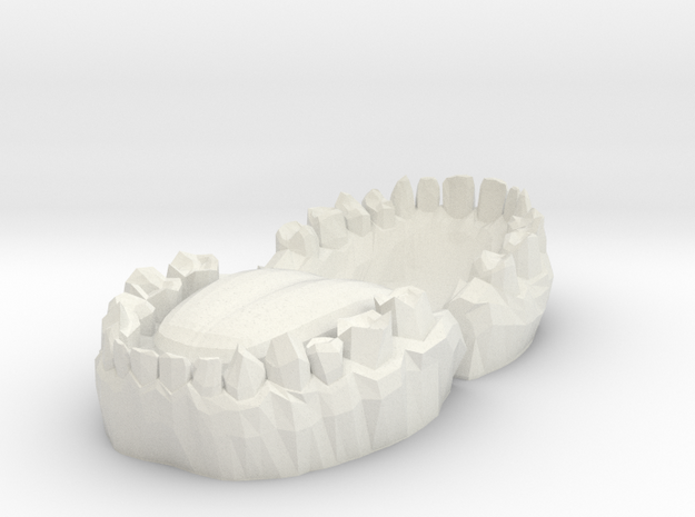 Teeth in White Natural Versatile Plastic