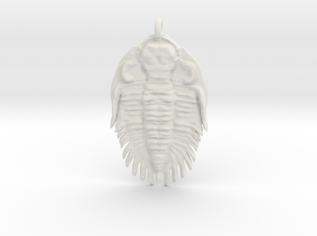 Trilobite Pendant 