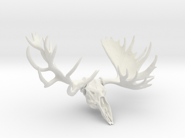 "Hook" the Moose European Mount  in White Natural Versatile Plastic
