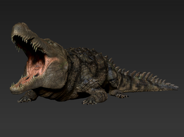 Deinosuchus (Medium/Large size)