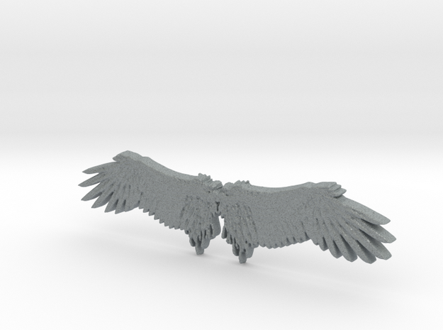 Angel's wing