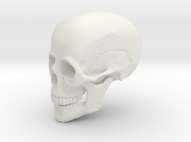 Non-scale Hollow Human Skull  in White Natural Versatile Plastic