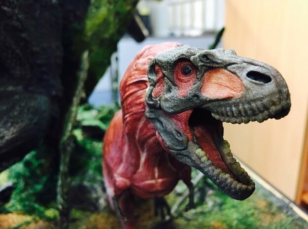 Daspletosaurus Anatomy in Full Color Sandstone: Large
