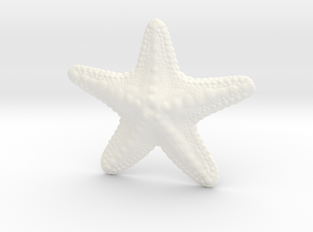 Starfish paperweight in White Processed Versatile Plastic