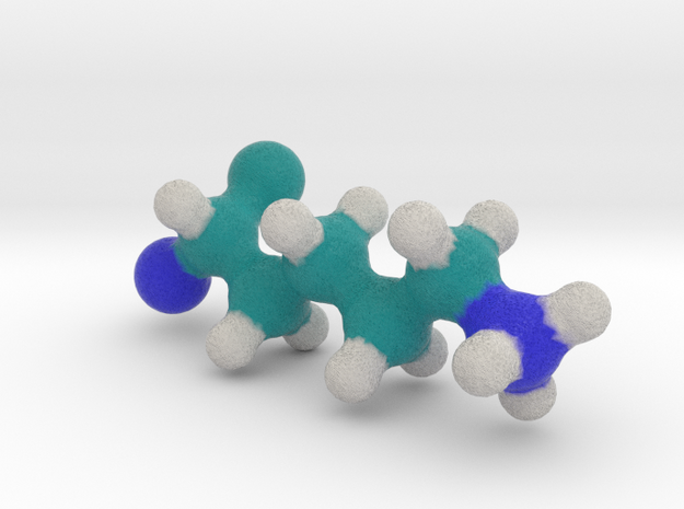 Amino Acid: Lysine in Full Color Sandstone