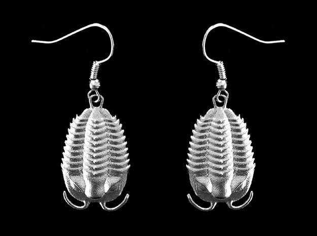 Trilobites Earrings in Natural Silver