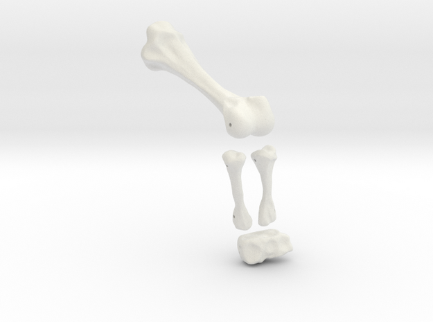 Komodo Left Leg Back 1:5 Scale in White Natural Versatile Plastic