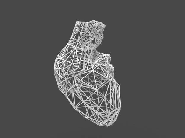 lattice human heart in White Natural Versatile Plastic