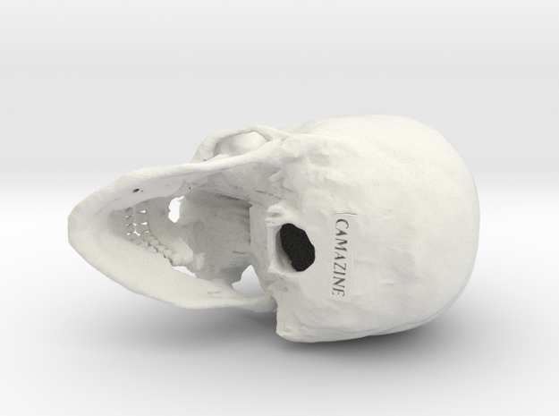 Human skull - 65mm in White Natural Versatile Plastic