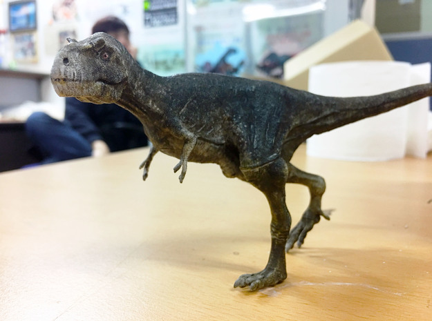 Gorgosaurus (Small/Medium size) in White Natural Versatile Plastic: Small