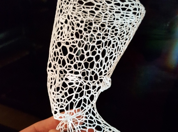 Nefertiti Voronoi in White Natural Versatile Plastic