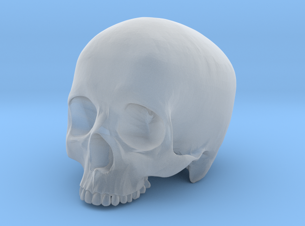 Skull Top scale 1/6 in Smoothest Fine Detail Plastic