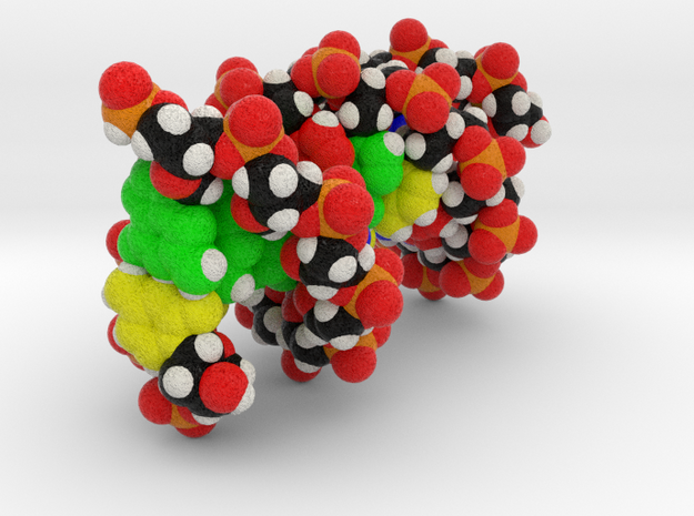 Custom DNA Molecule Model "Gary" in Full Color Sandstone
