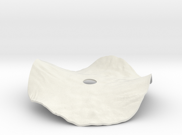 Helianthus Cover Lid in White Natural Versatile Plastic