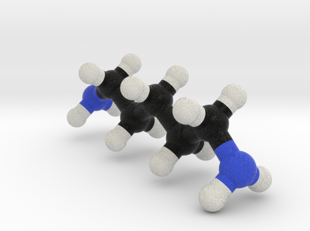 Cadaverine Molecule Model. 3 Sizes. in Full Color Sandstone: 1:10