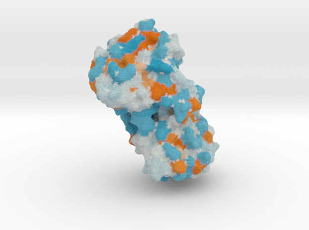 Human Matrix Metalloproteinase (MMP8) in Full Color Sandstone