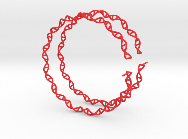 Double Helix 75 mm (3") Hoops - curly in Red Processed Versatile Plastic